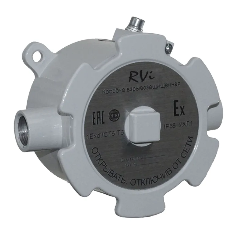 RVI RVI-4TJB-AS/P01.С-EX RVI RVI-4TJB-AS/P01.С-EX